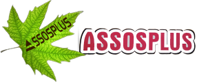 AssosPlus